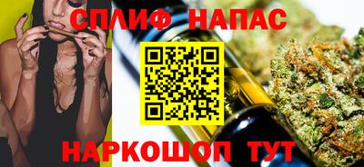 МДПВ Моздок