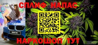 гидра Можайск