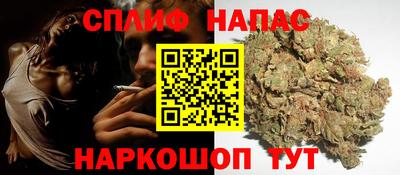 МДПВ Моздок
