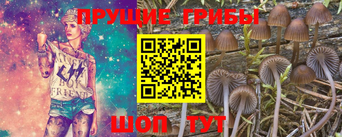 Сухой Лог  Псилоцибиновые грибы мухоморы  Вход с VPN 