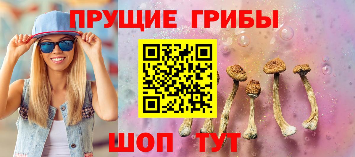 Галлюциногенные грибы Psilocybe Сухой Лог